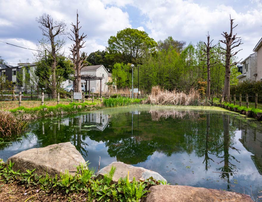 桜町湧水公園